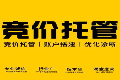 高效SEM托管公司案例对比分析